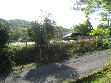 c0077338_742301.jpg