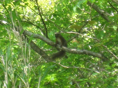 c0077338_742413.jpg