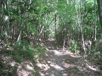 c0077338_7424145.jpg