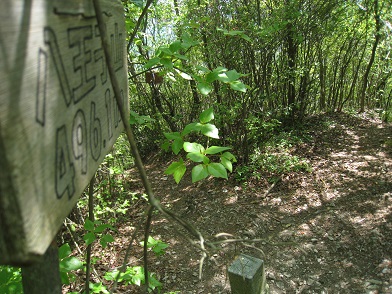 c0077338_7431544.jpg