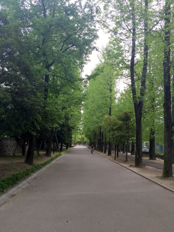 b0057140_13435533.jpg