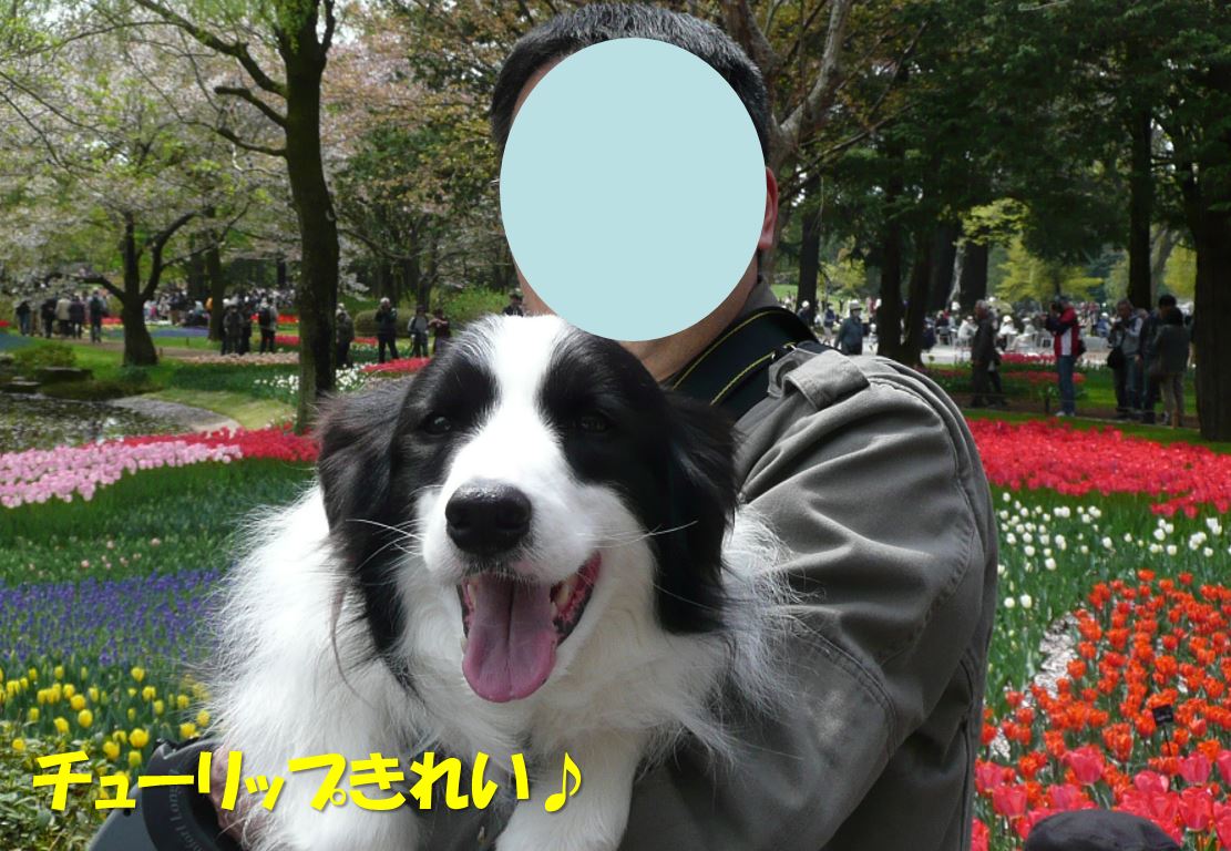 c0147241_19591170.jpg