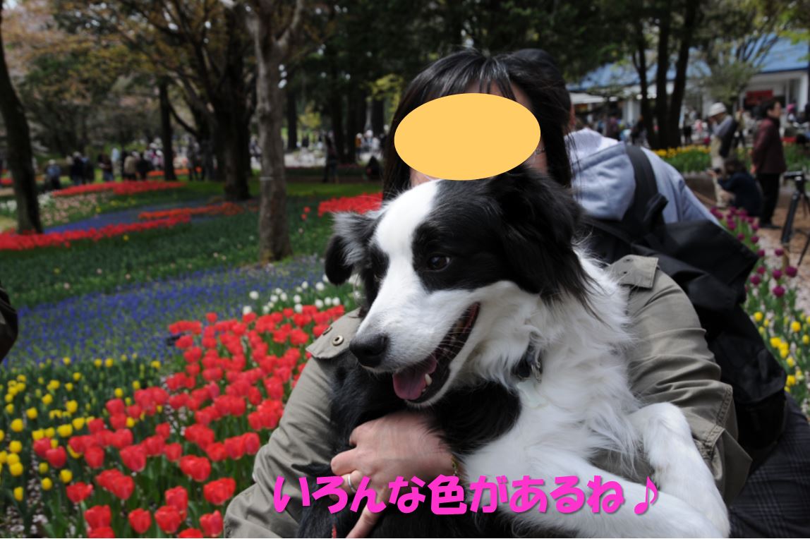 c0147241_19591864.jpg