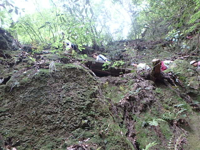 f0334143_21425055.jpg