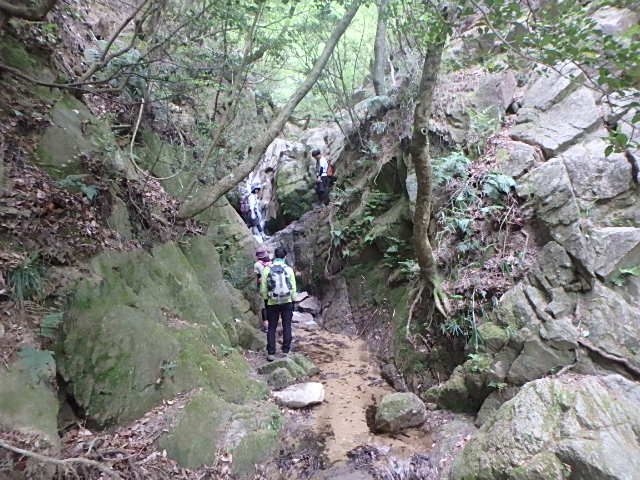 f0334143_21442166.jpg