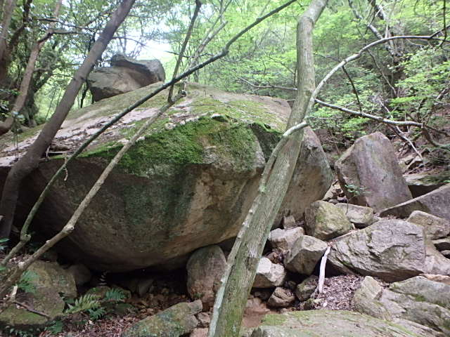 f0334143_21442994.jpg
