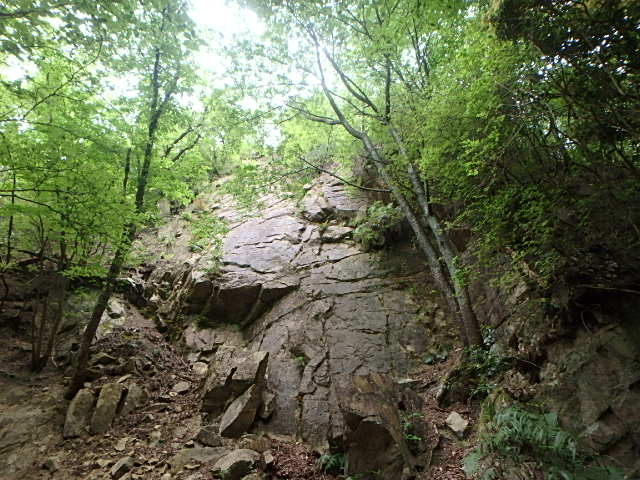 f0334143_21454033.jpg
