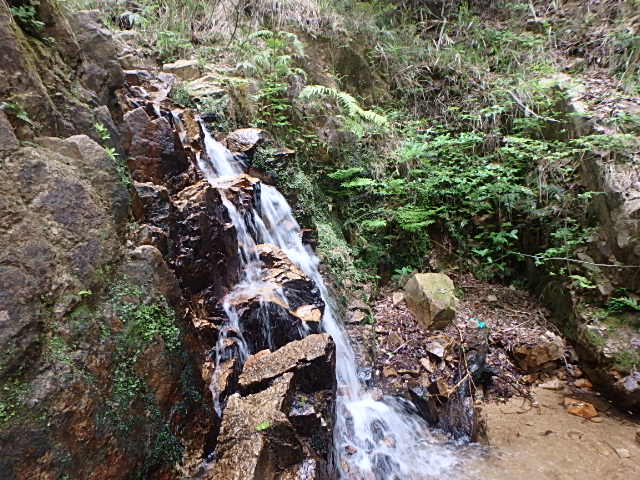 f0334143_21465976.jpg
