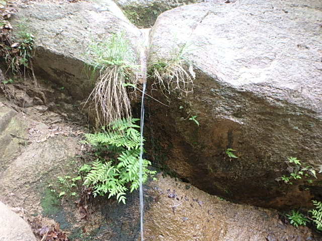 f0334143_21492518.jpg