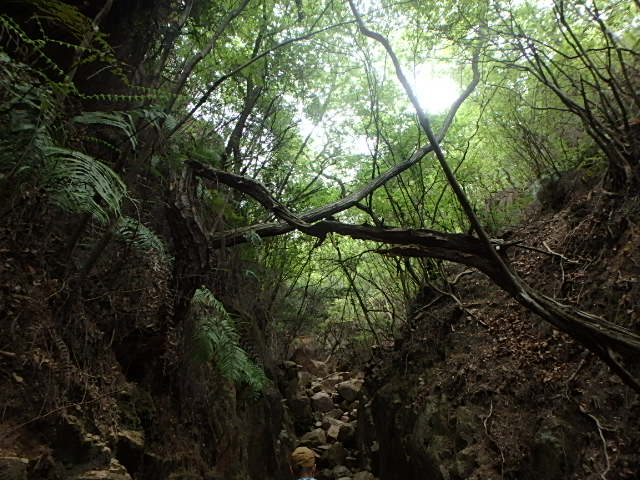 f0334143_21511757.jpg