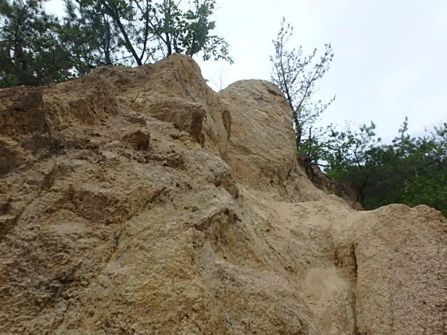 f0334143_21544011.jpg