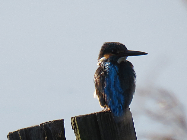 f0214649_1022679.jpg