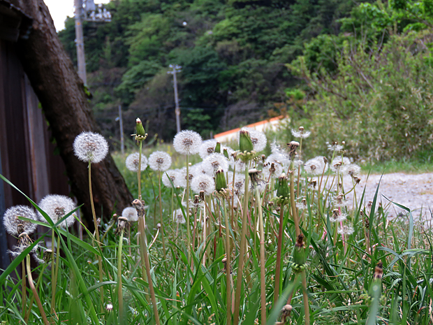 f0214649_1625171.jpg
