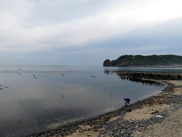 f0214649_1626331.jpg