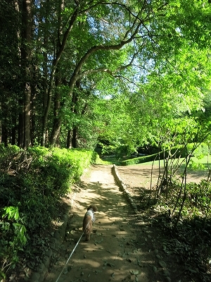 e0170558_22102597.jpg