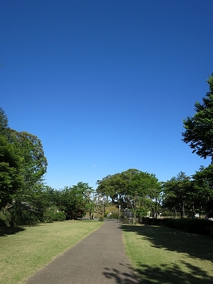 e0170558_22190211.jpg