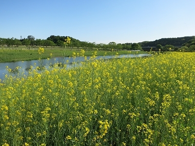 e0170558_23122799.jpg