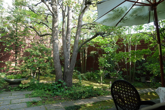 a0220561_21314197.jpg