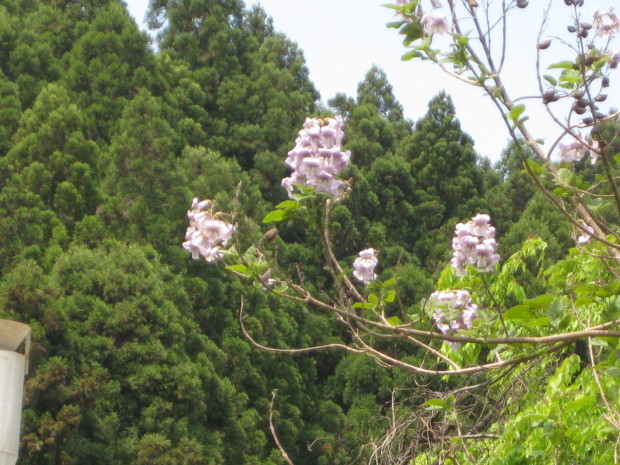 f0345263_22480308.jpg
