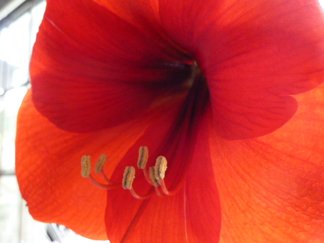 e0278968_22061292.jpg