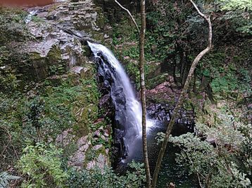 d0026872_19165448.jpg