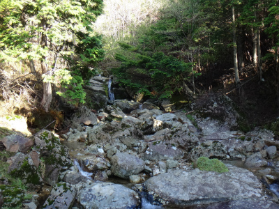 d0182075_5281349.jpg