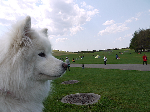 c0209379_9304776.jpg