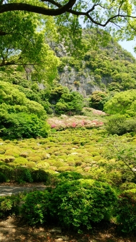 f0143386_13091527.jpg