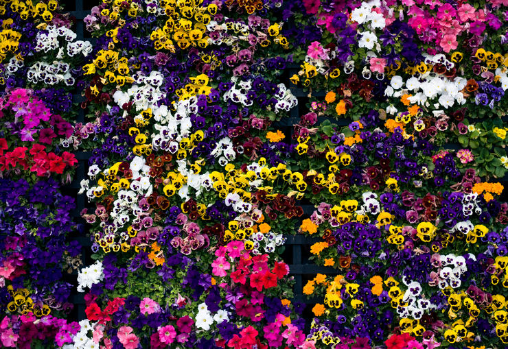 a0087389_19161030.jpg