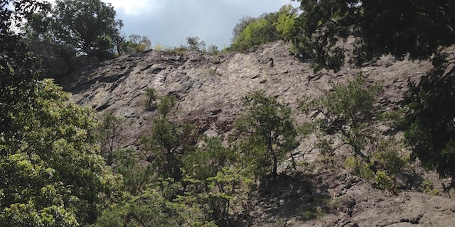 c0170789_14195975.jpg