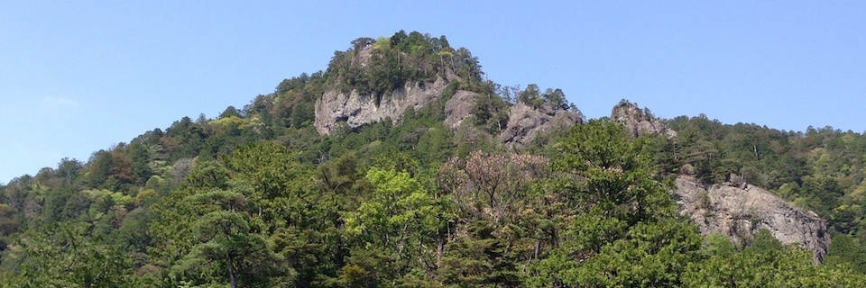 c0170789_14204667.jpg