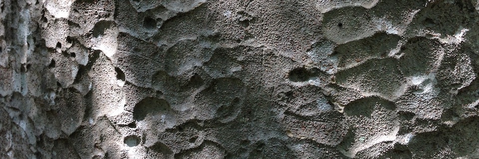 c0170789_14314020.jpg