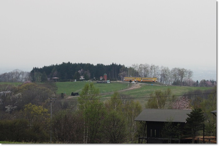 f0146493_1650153.jpg