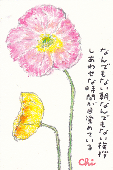a0030594_23365959.gif