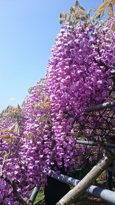 c0137300_22124374.jpg