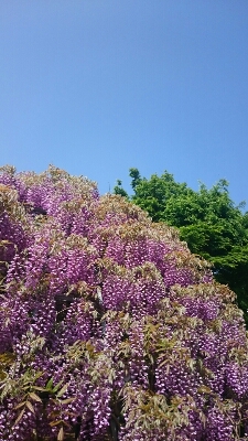 c0137300_22134954.jpg