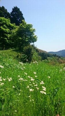 c0137300_22383948.jpg