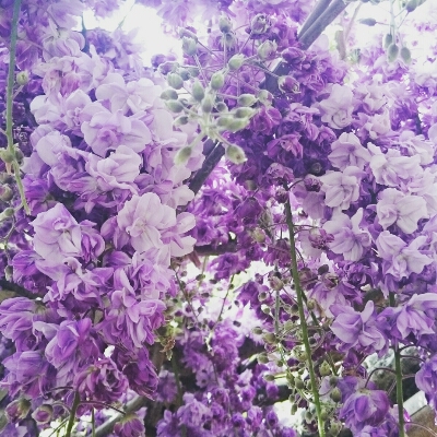 c0137300_229460.jpg