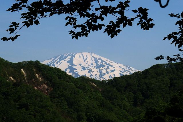 e0137200_2125421.jpg