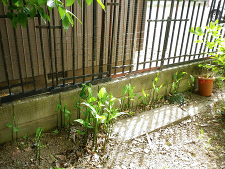 f0239100_23211068.jpg