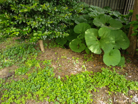 f0239100_23232920.jpg