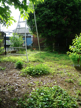 f0239100_2323915.jpg