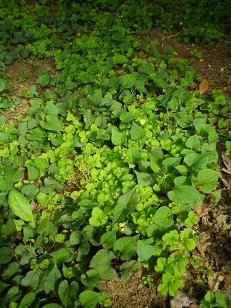f0239100_2341937.jpg