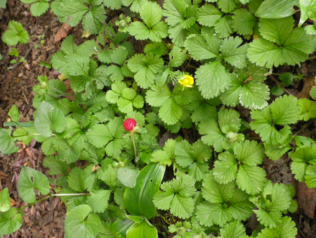 f0239100_2385921.jpg