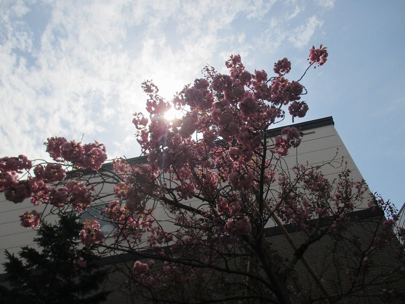 f0202703_11133464.jpg