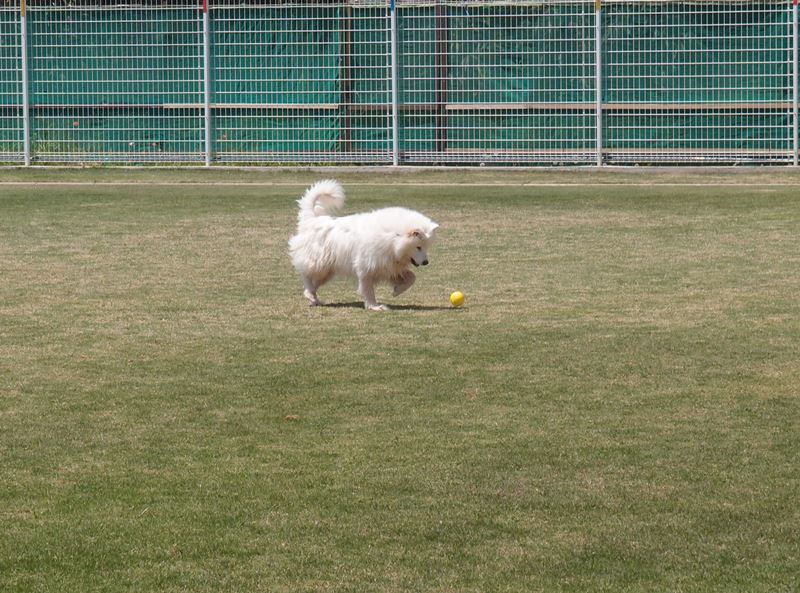 e0018604_06084737.jpg
