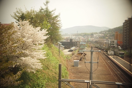 c0202705_2042736.jpg