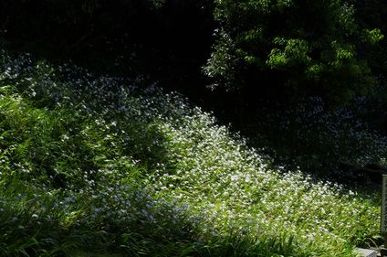 c0156908_22341578.jpg