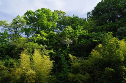 c0156908_2315547.jpg