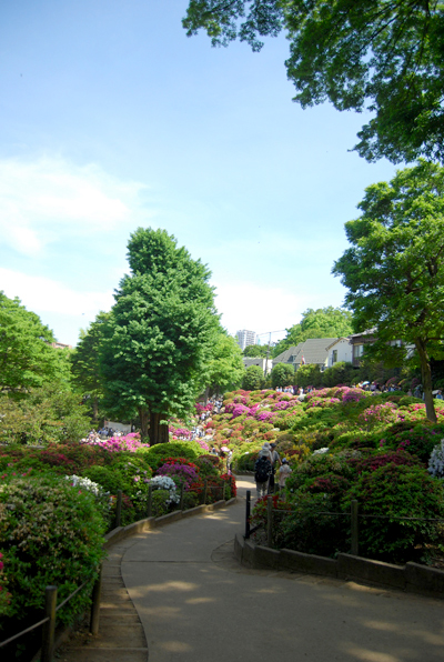 d0113613_1482141.jpg